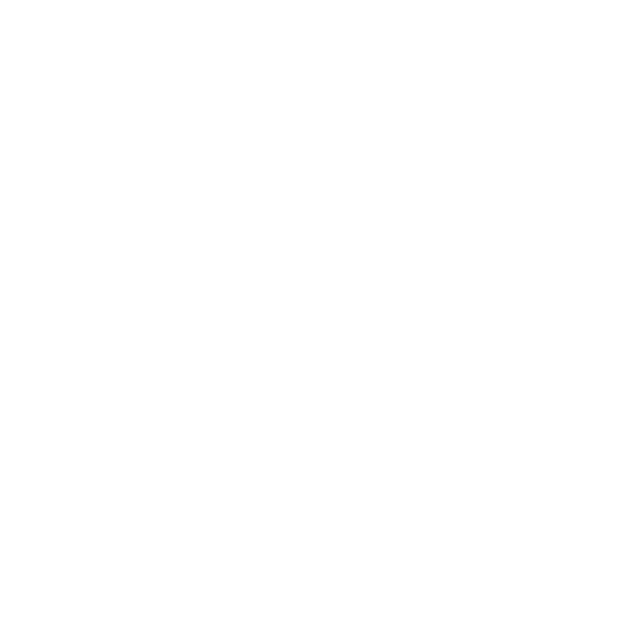 discord icon
